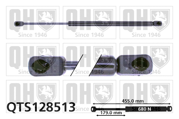 Gas Spring, boot/cargo area (QTS128513)