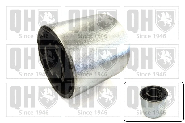 Mounting, control/trailing arm (EMS8188)