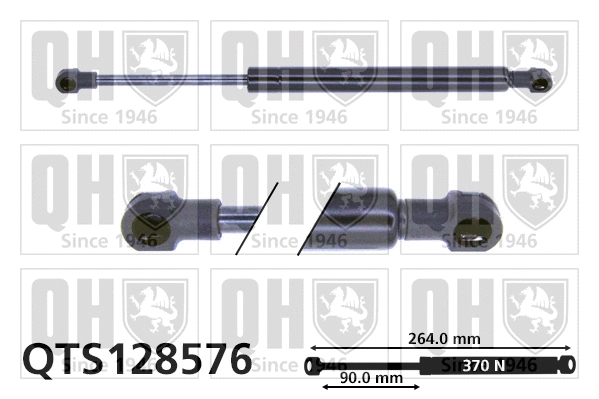 Gas Spring, boot/cargo area (QTS128576)