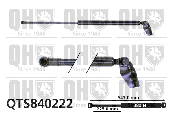 Gas Spring, boot/cargo area (QTS840222)