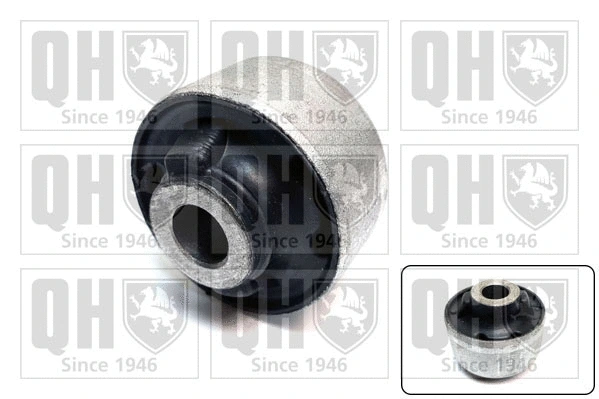 Mounting, control/trailing arm (EMS8798)