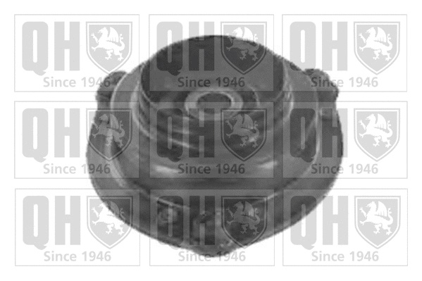 Suspension Strut Support Mount (EMR6101)