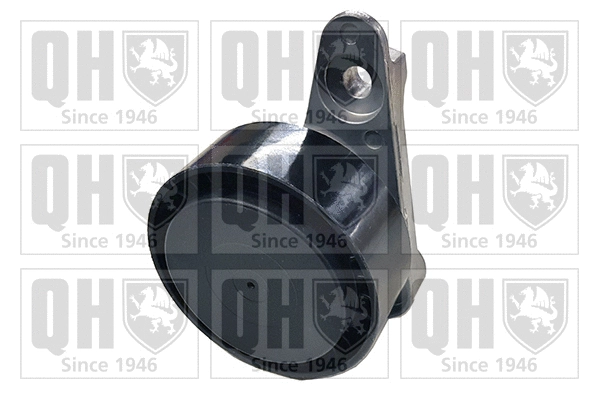 Tensioner Pulley, V-ribbed belt (QTA1584)