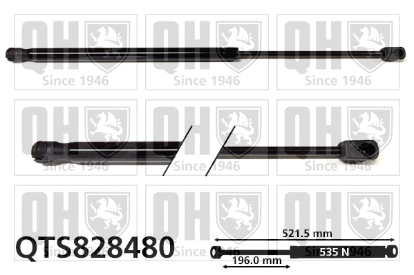 Gas Spring, boot/cargo area (QTS828480)