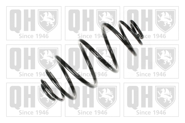 Suspension Spring (QCS5813)