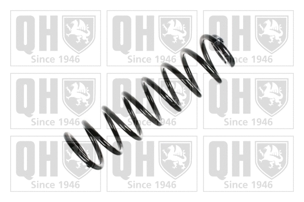 Suspension Spring (QCS7862)