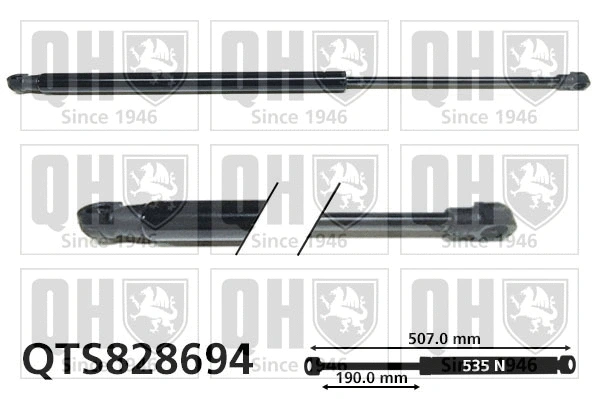 Gas Spring, boot/cargo area (QTS828694)