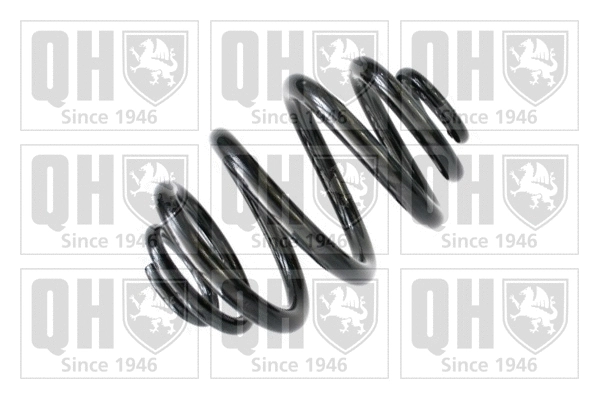 Suspension Spring (QCS6118)