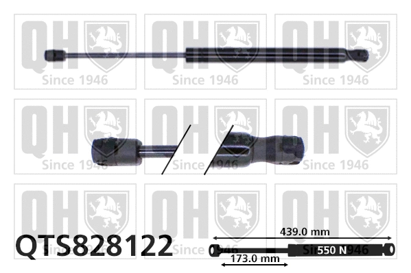 Gas Spring, boot/cargo area (QTS828122)
