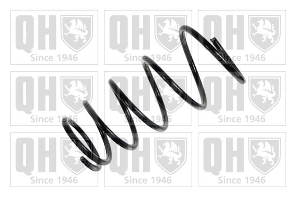 Suspension Spring (QCS7328)