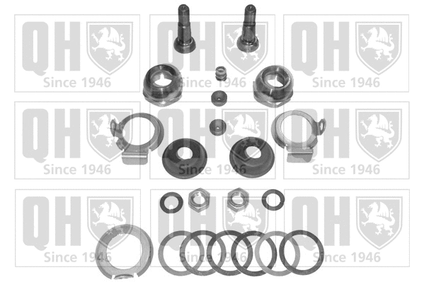 Repair Kit, wheel suspension (QSK209S)