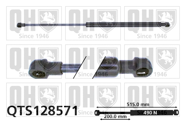 Gas Spring, boot/cargo area (QTS128571)