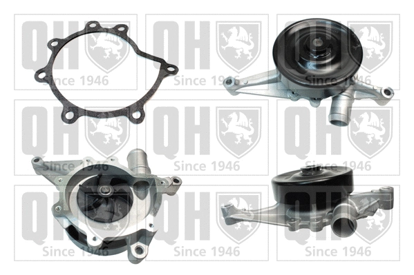 Water Pump, engine cooling (QCP3838)