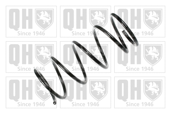 Suspension Spring (QCS6829)