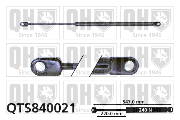 Gas Spring, bonnet (QTS840021)