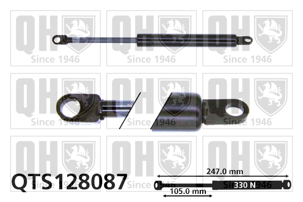 Gas Spring, boot/cargo area (QTS128087)