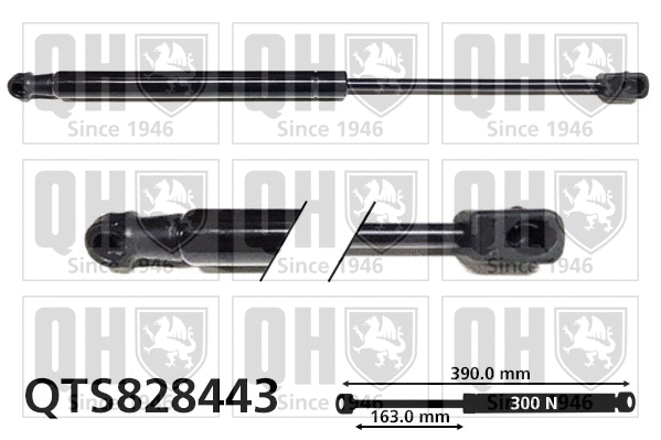 Gas Spring, bonnet (QTS828443)