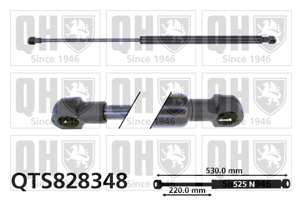 Gas Spring, boot/cargo area (QTS828348)