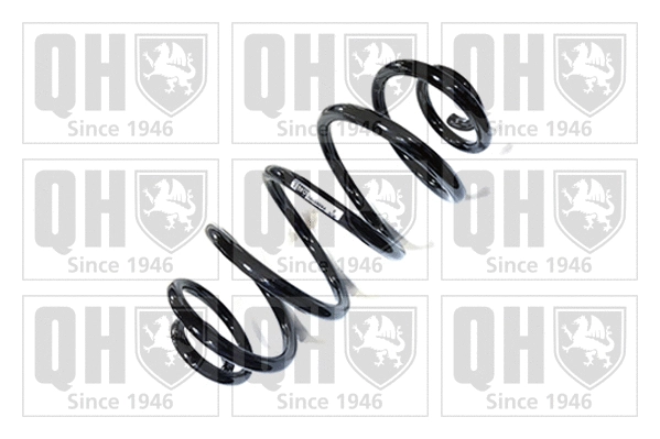 Suspension Spring (QCS5084)