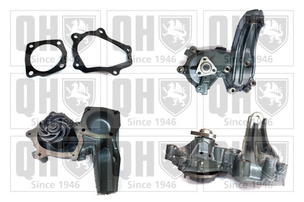 Water Pump, engine cooling (QCP3399)