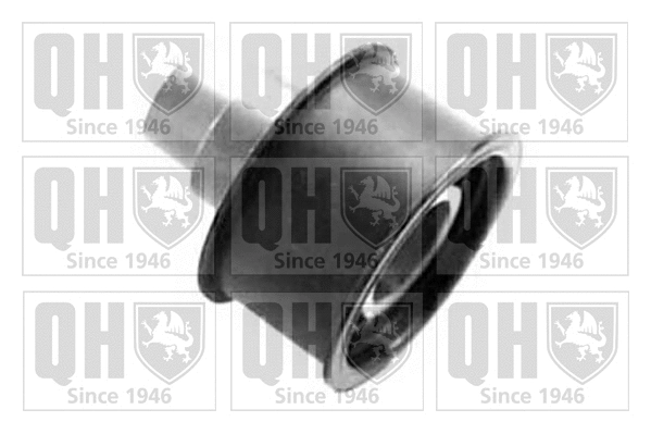 Deflection/Guide Pulley, timing belt (QTT200)