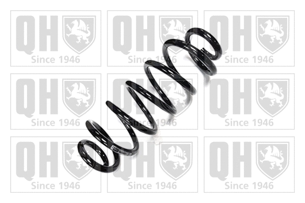 Suspension Spring (QCS5577)