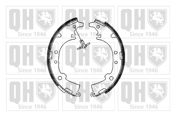 Brake Shoe Set (BS1020)