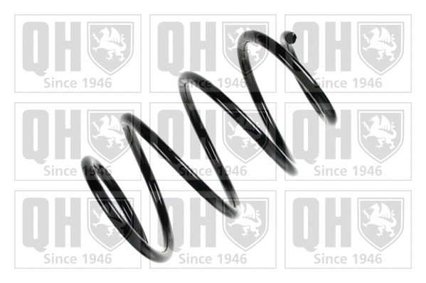 Suspension Spring (QCS5173)