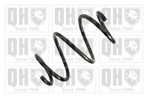 Suspension Spring (QCS5782)