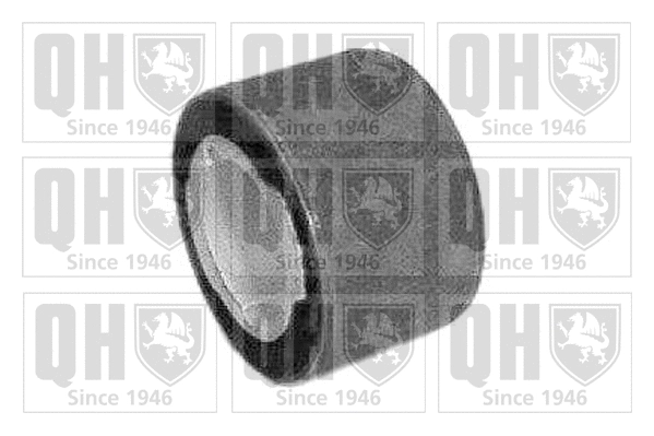 Bushing, axle beam (EM2498)
