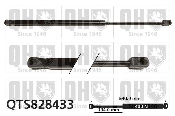 Gas Spring, boot/cargo area (QTS828433)