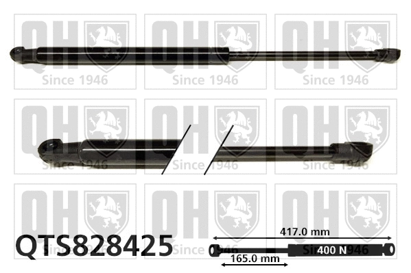 Gas Spring, bonnet (QTS828425)