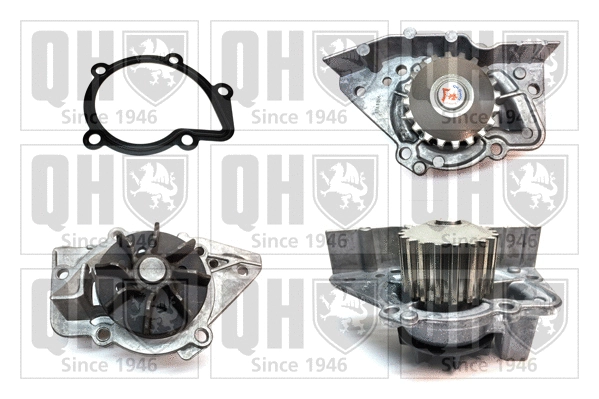 Water Pump, engine cooling (QCP3323)