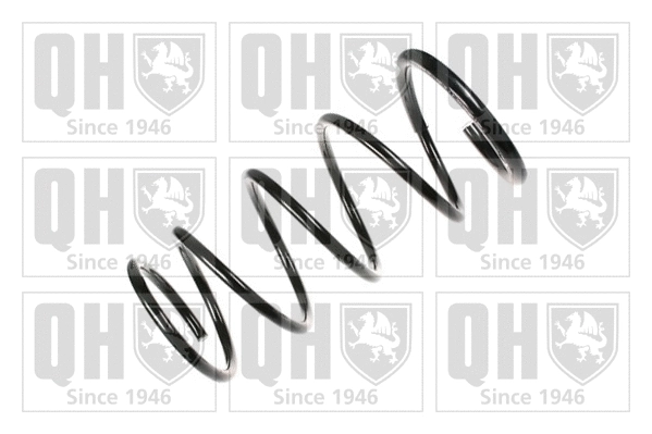 Suspension Spring (QCS5282)