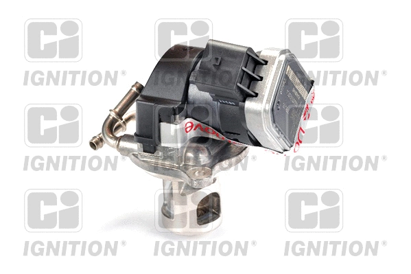 EGR Valve (XEGR47)
