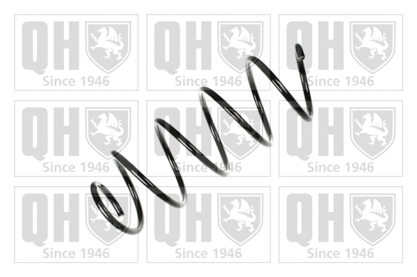 Suspension Spring (QCS5486)