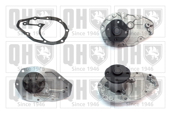 Water Pump, engine cooling (QCP769)