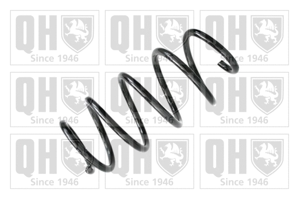 Suspension Spring (QCS6746)
