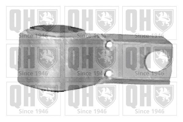 Mounting, control/trailing arm (EMS8203)