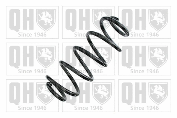 Suspension Spring (QCS6657)
