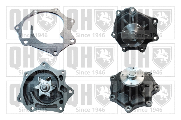 Water Pump, engine cooling (QCP3342)