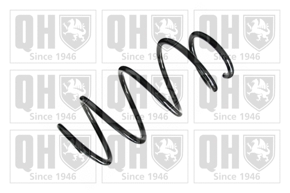 Suspension Spring (QCS5435)