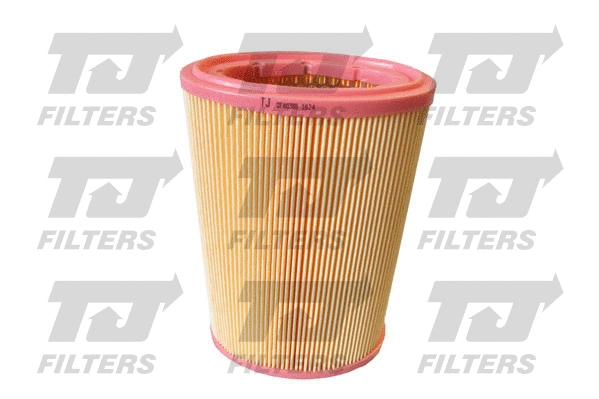 Air Filter (QFA0385)