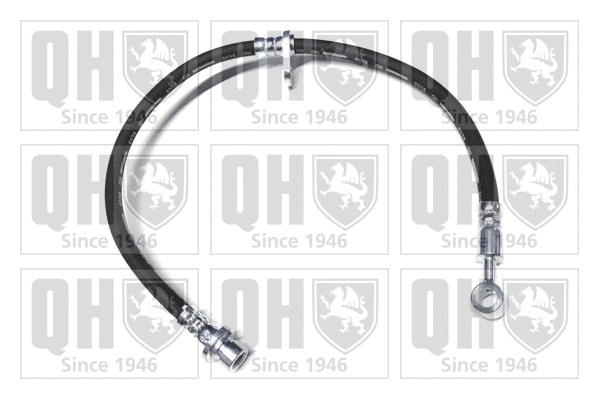Brake Hose (BFH5829)
