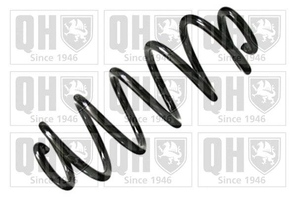 Suspension Spring (QCS6844)