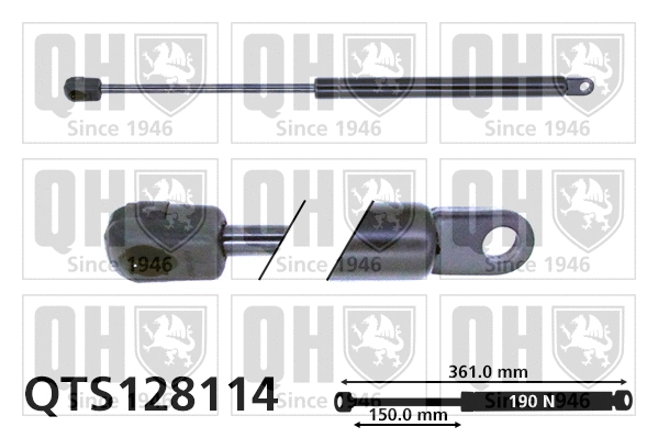 Gas Spring, boot/cargo area (QTS128114)