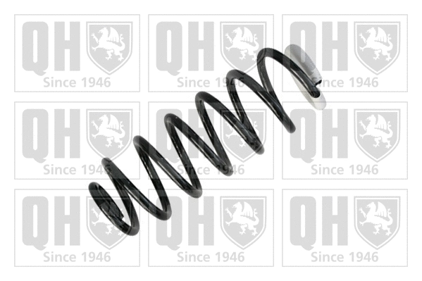 Suspension Spring (QCS5128)