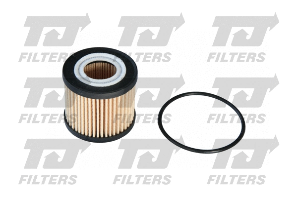 Oil Filter (QFL0004)