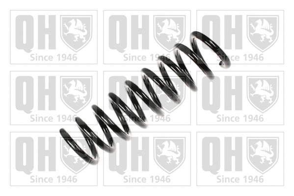 Suspension Spring (QCS7655)