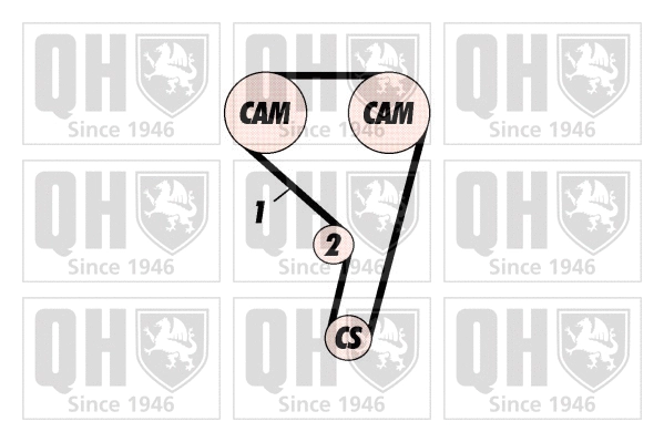 Timing Belt Kit (QBK751)